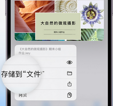 章丘apple维修中心分享iPhone文件应用中存储和找到下载文件