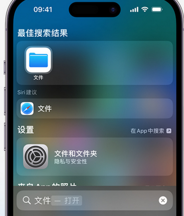 章丘apple维修中心分享iPhone文件应用中存储和找到下载文件 