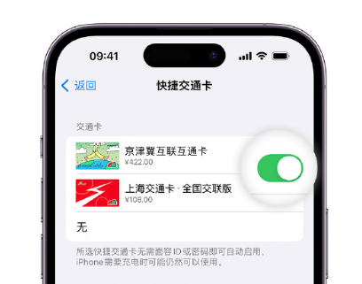 章丘apple维修点分享iPhone上更换Apple Pay快捷交通卡手绘卡面 