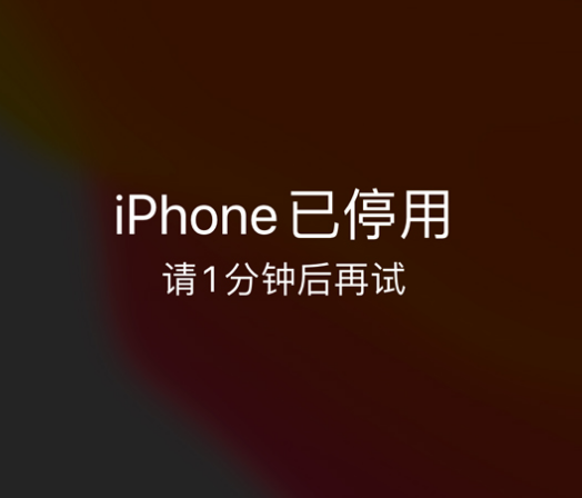 章丘苹果手机维修分享:iPhone 显示“不可用”或“已停用”怎么办？还能保留数据吗？ 