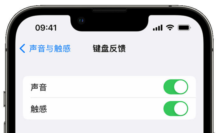 章丘苹果手机维修分享iPhone 14触感键盘使用方法 