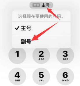 章丘苹果14维修店分享iPhone 14 Pro Max使用副卡打电话的方法 