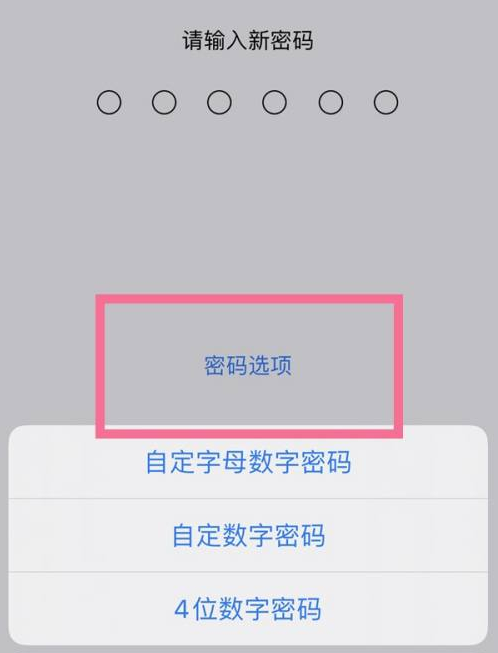 章丘苹果14维修分享iPhone 14plus设置密码的方法 