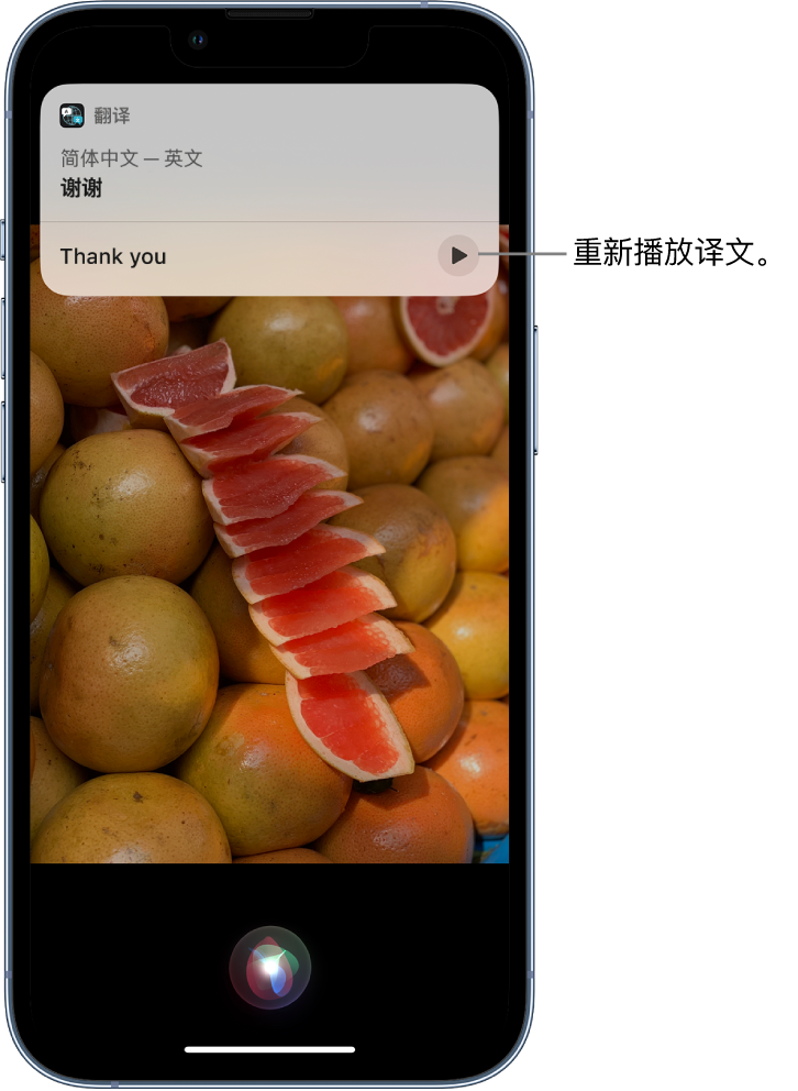 章丘苹果14维修分享 iPhone 14 机型中使用 Siri：了解 Siri 能帮你做什么 