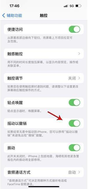 章丘苹果手机维修分享iPhone手机如何设置摇一摇删除文字 