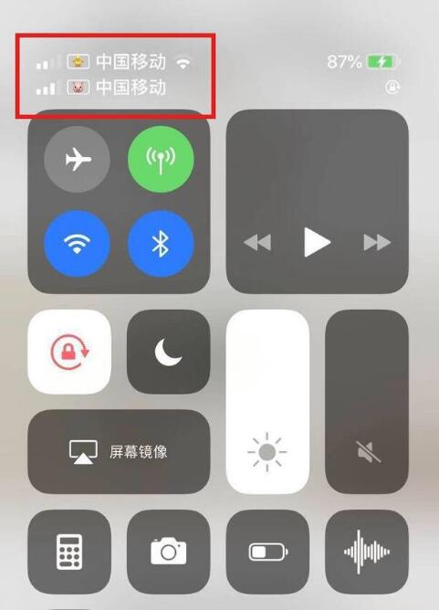 章丘苹果手机维修分享为 iPhone 12 双卡设置标签 