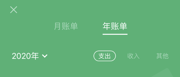 章丘苹果手机维修分享如何在 iPhone 上查看支付宝和微信年支出账单 
